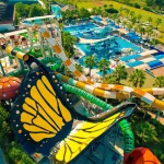 Butterfly Theme Wave Slide