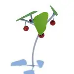 Cherry Tipping Bucket Water Play Feature