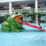 Cartoon Frog Kids Water Slide