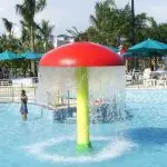 Rain Mushroom Splash Feature